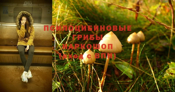 PSILOCYBIN Баксан