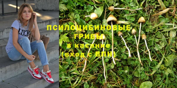 PSILOCYBIN Баксан