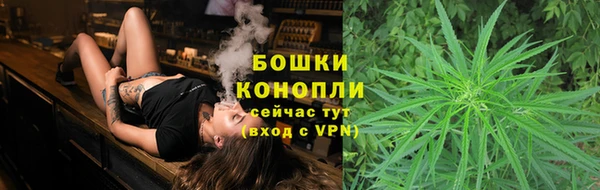 PSILOCYBIN Баксан